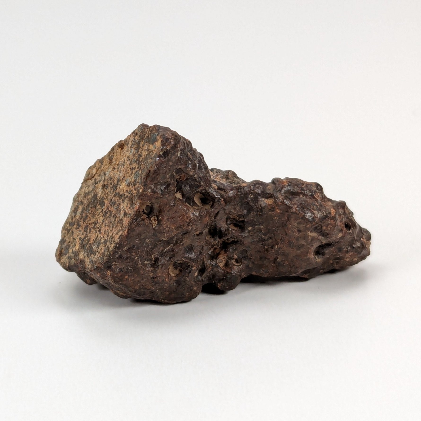  Northwest Africa NWA Meteorite | 10 Grams | End Cut | Sahara 