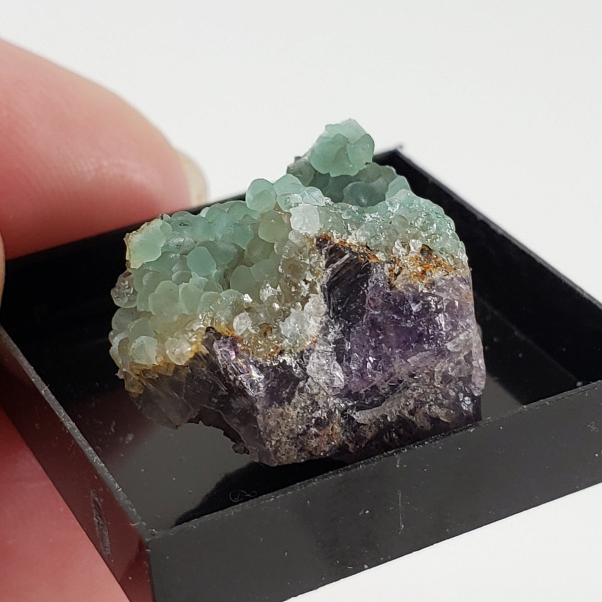 Smithsonite Crystals on Matrix | Perky Box Thumbnail Specimen | Chihuahua, Mexico