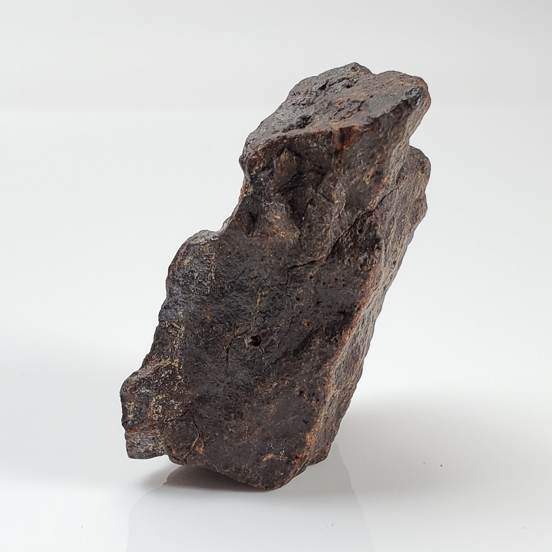 ChondriteDhofarDhofar 221MeteoritesCanagem.com