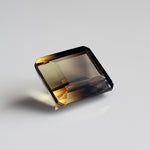  Citrine | Octagon Cut | Lemon-Black Bi-Color | 14x12mm 