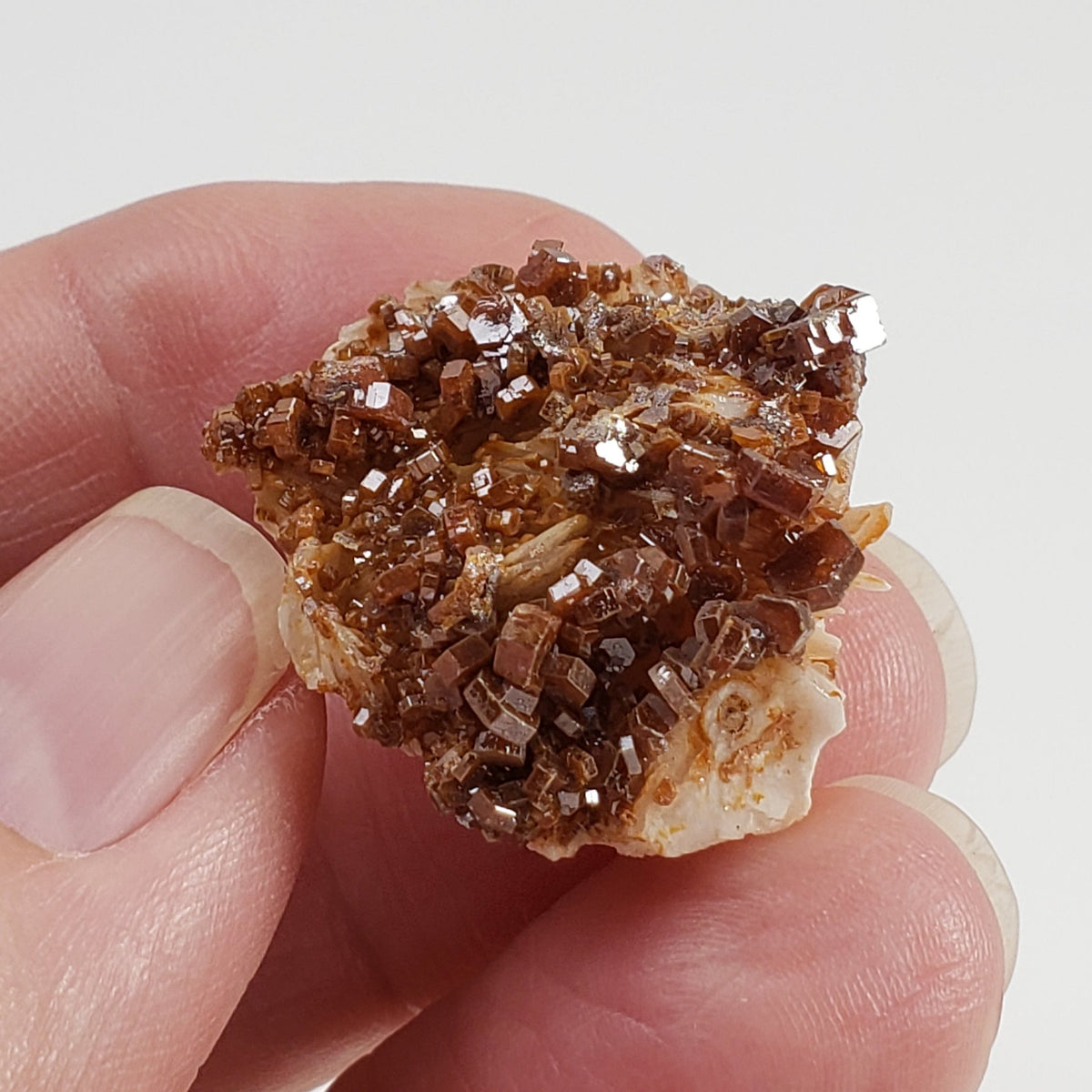  Vanadinite on Barite Crystal | 16.3 grams | Mibladen, Morocco 