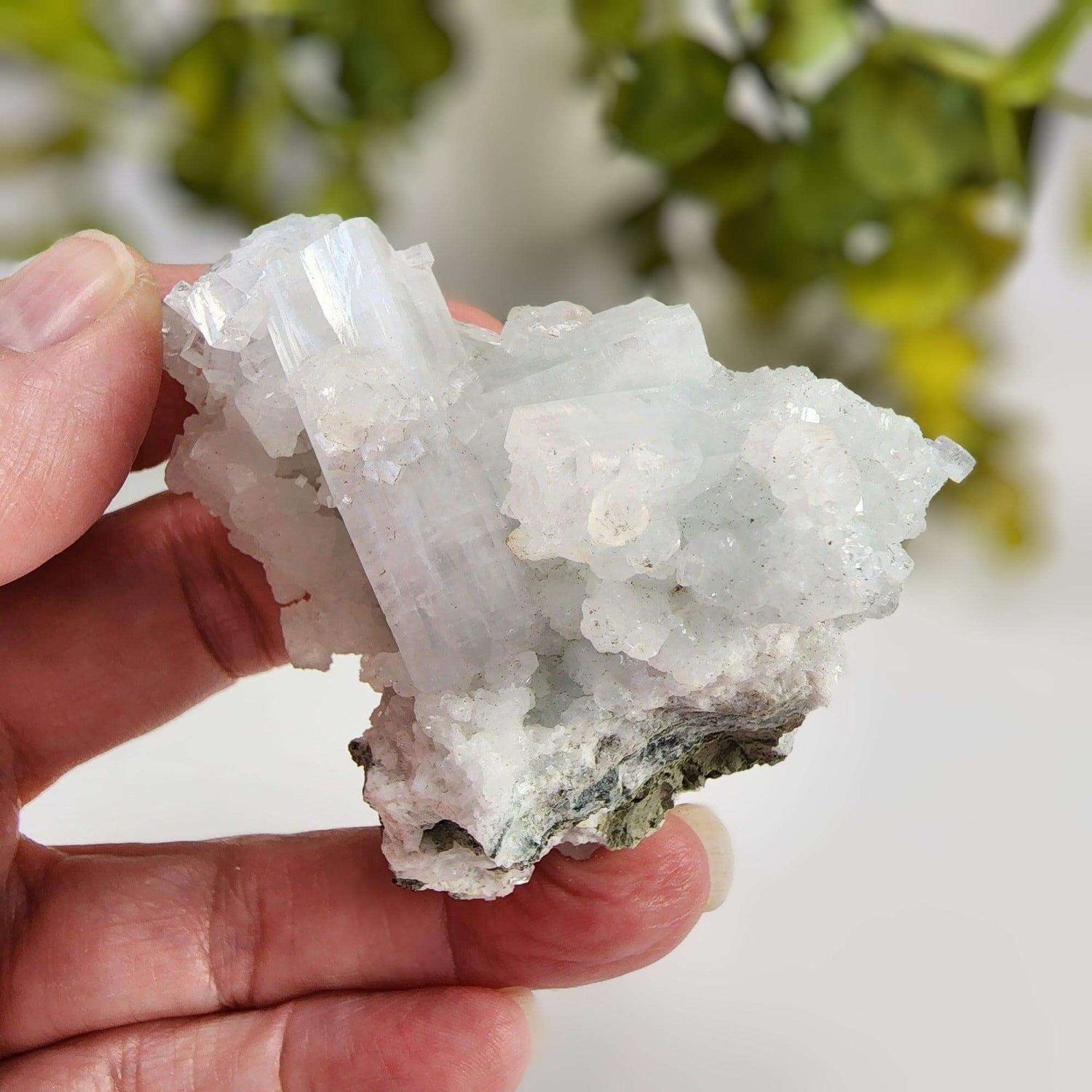  Apophyllite and Prehnite Cluster 86 grams from Mumbai, India 