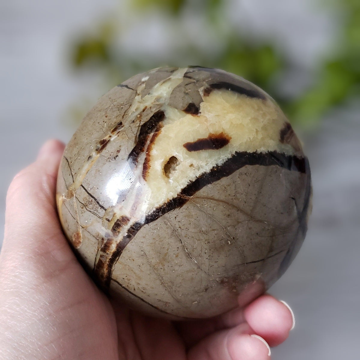 Septarian Calcite Sphere | 92 mm, 3.6 in | 1.09 kg