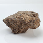 NWA 2965 Meteorite | 63.49 Grams | Individual | EL-Melt Rock | Fossil Paleomet