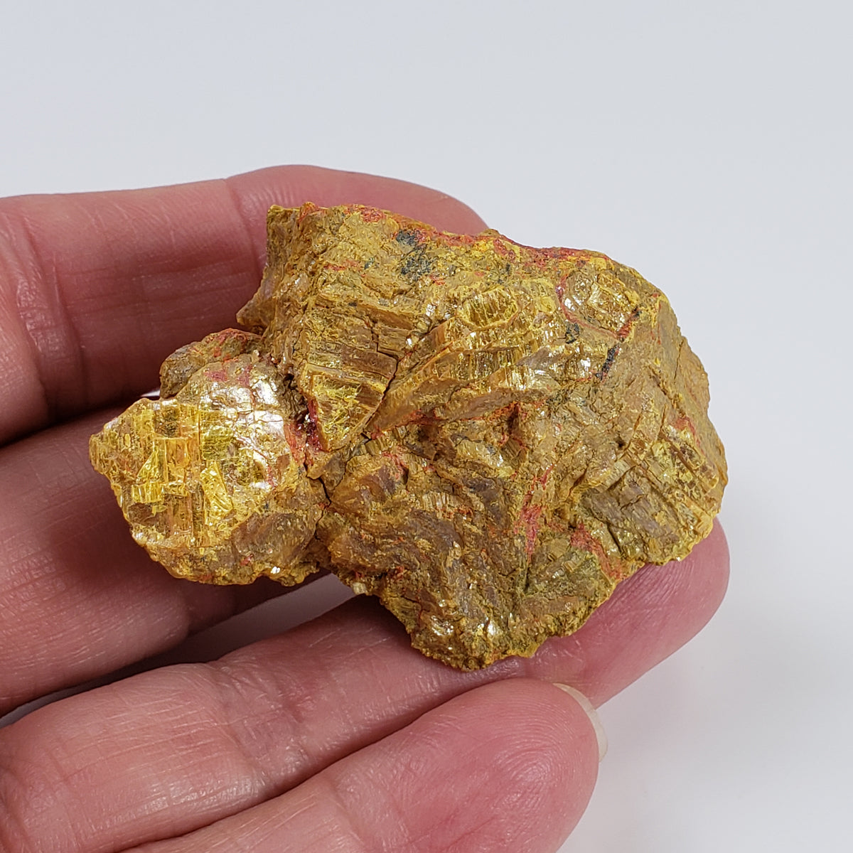  Orpiment and Realgar | 56.96 grams | Betze Post Pit, Carlin Trend | Ucaura Mountains, Elko Co., Nevada USA 