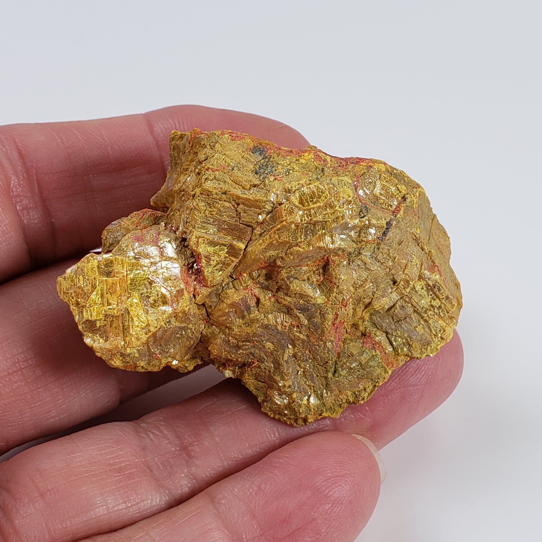  Orpiment and Realgar | 56.96 grams | Betze Post Pit, Carlin Trend | Ucaura Mountains, Elko Co., Nevada USA 