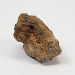 Sericho Meteorite | 16.4 Grams | As found Individual | MG Pallasite | Kenya Africa