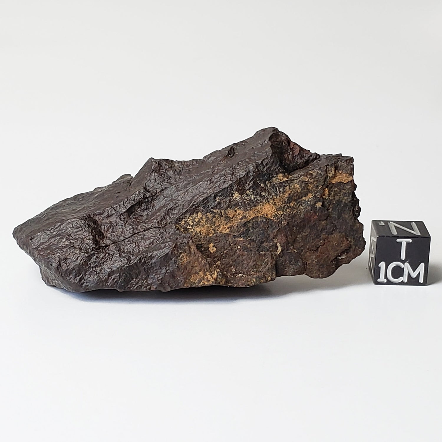 Dhofar 020 Meteorite | 49.8 Grams | Individual | H4/5 Shocked Chondrite | Oman Sahara Y2K | Canagem.com