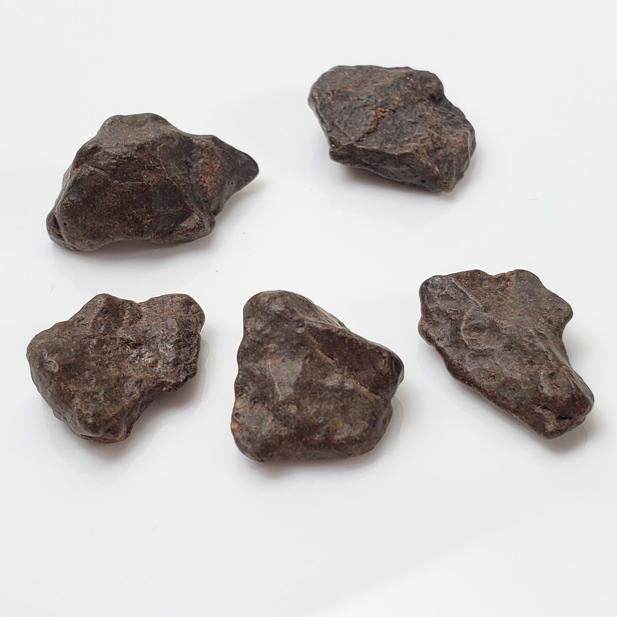 NWA 4293 Meteorite | 1 to 2 Grams | Individual | H6 Chondrite | Gem Jar