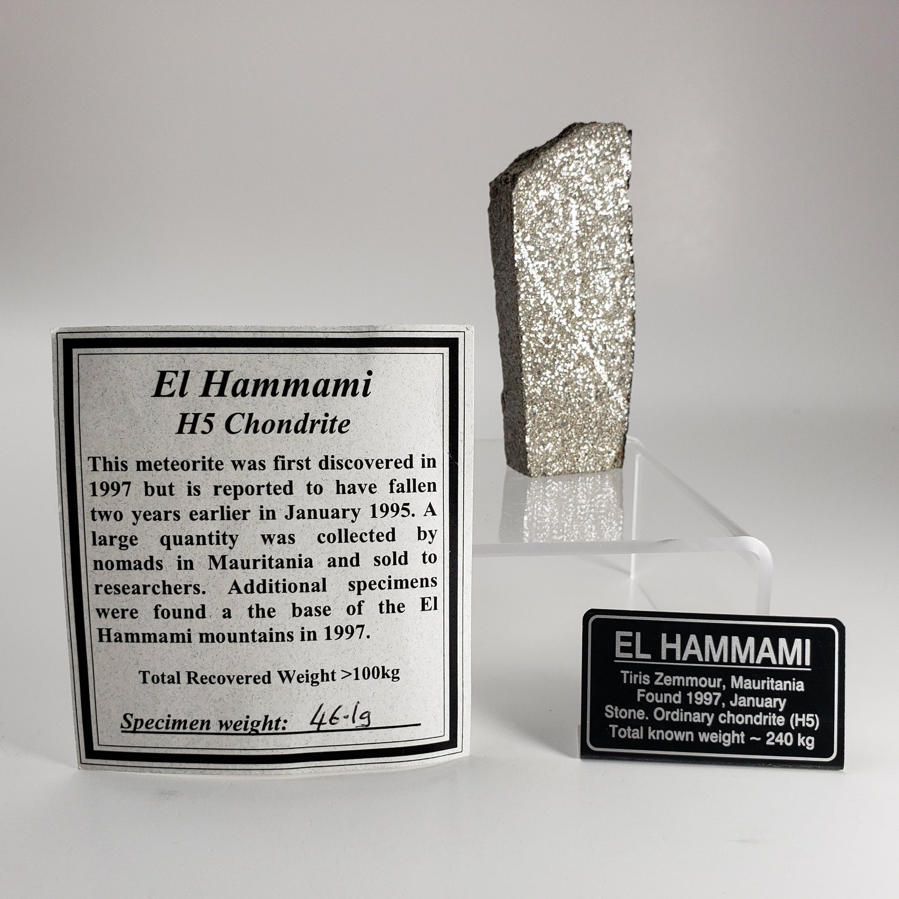  El Hammami Meteorite 46.1gr Fresh H5 1997 Slice from Tiris Zemmour, Mauritania 