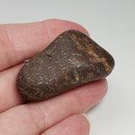 Northwest Africa NWA Meteorite | 40.8 Grams | Individual | Tumbled Meteorite | Sahara