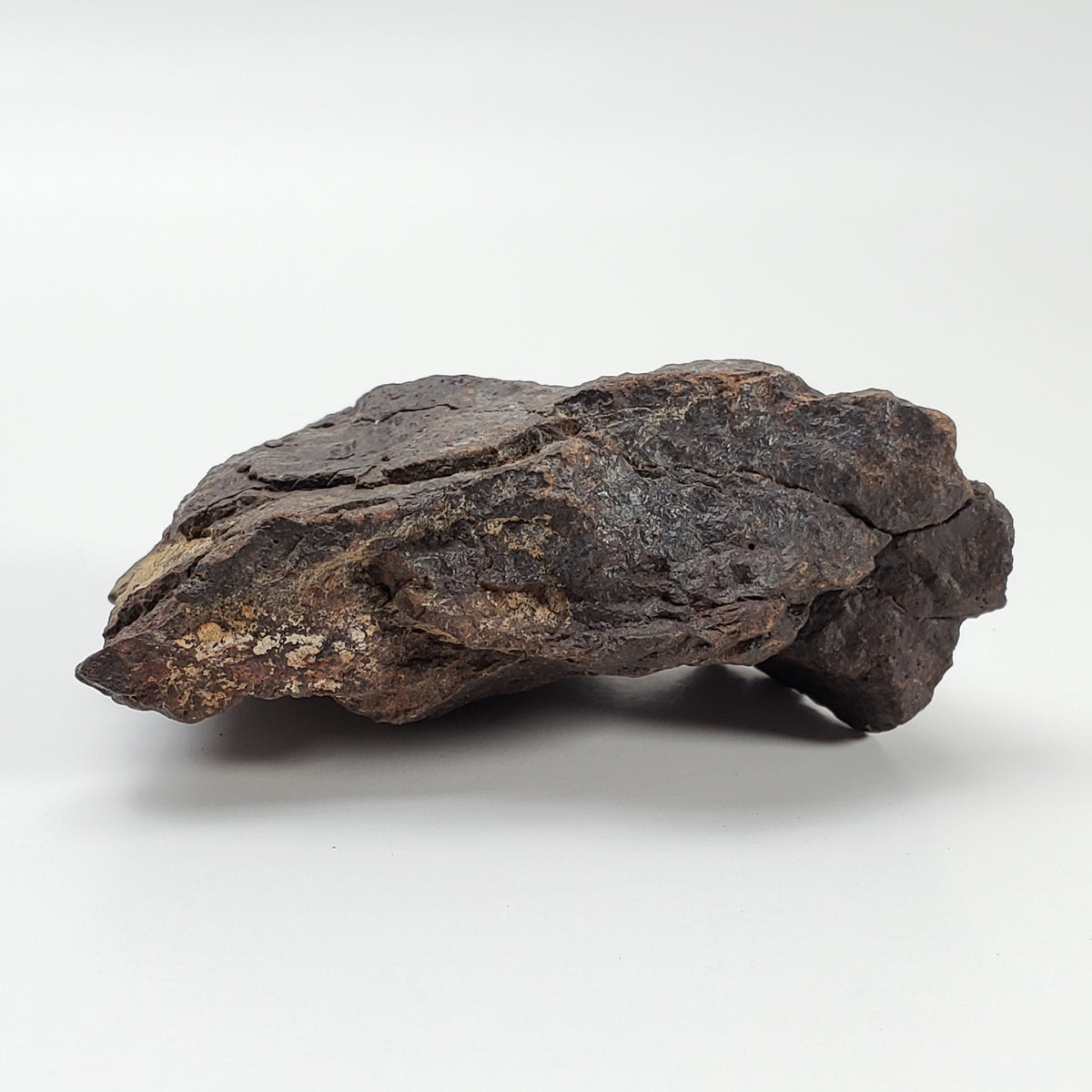 Dhofar 221 Meteorite | 117 Grams | Individual | L5 Shocked Chondrite | Sahara