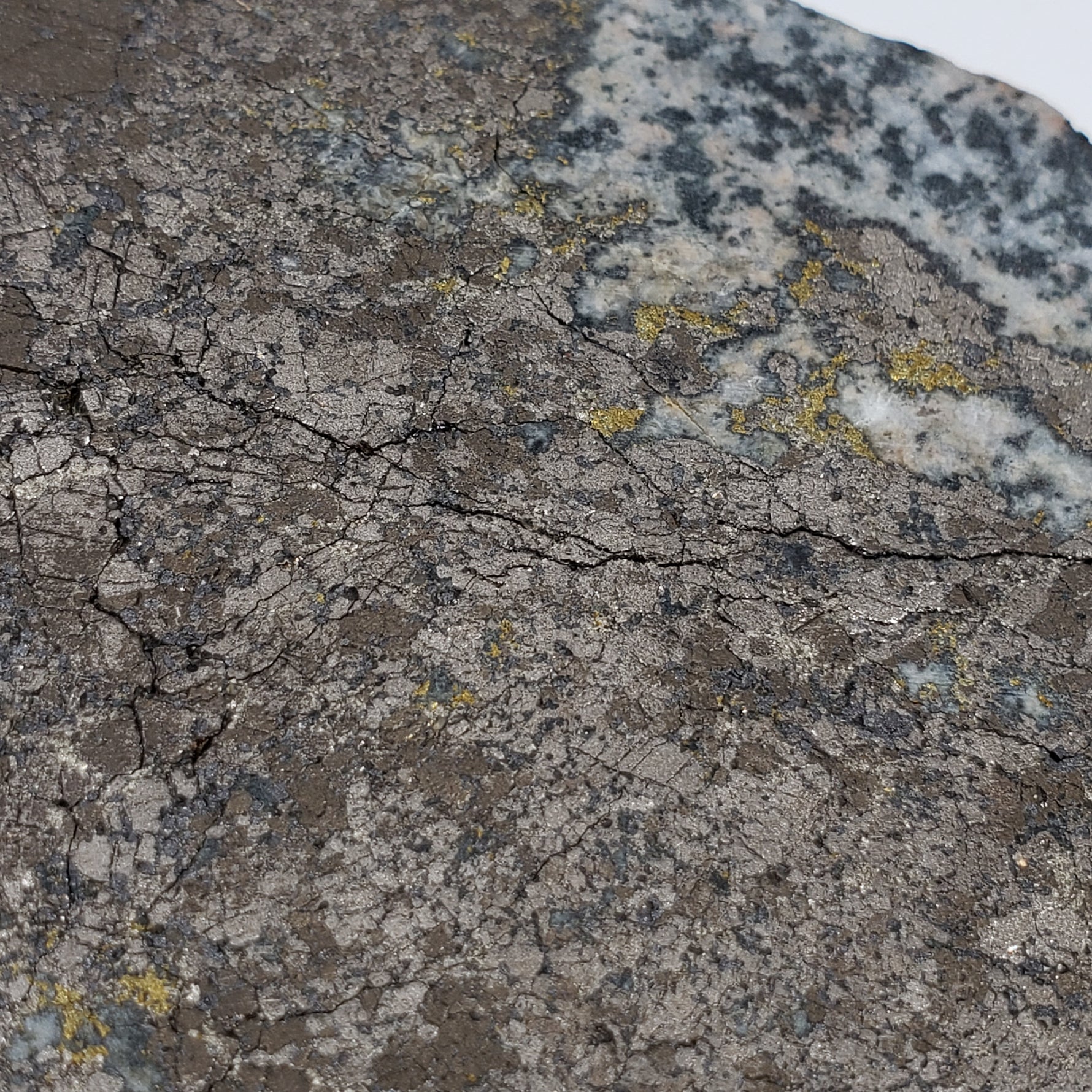 Impact Breccia | Part Slice | 222.8 Grams | Metal Rich Impactite | Sudbury Structure, Canada