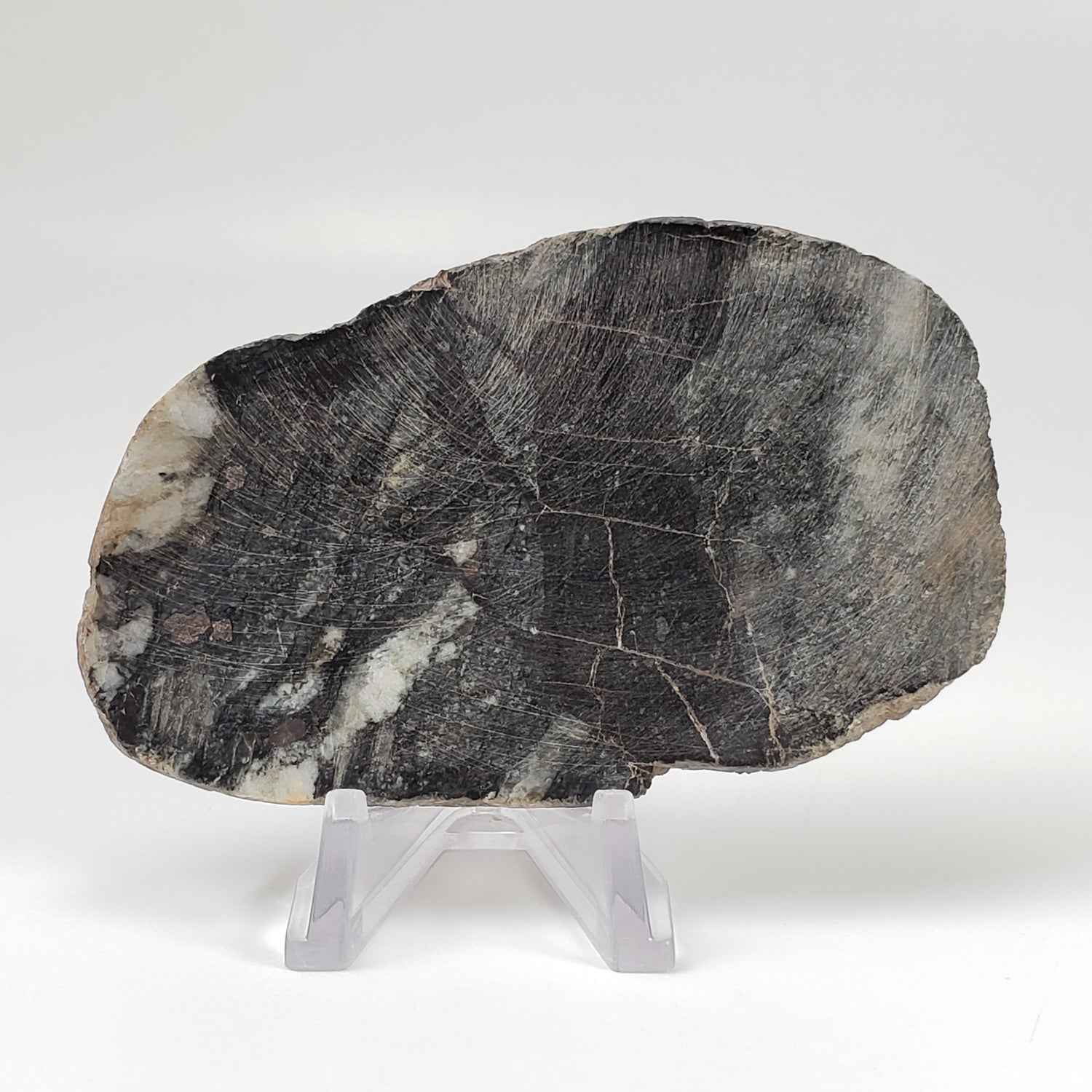 Dellenites Impact Melt Rock | 90.4 grams | HT Tagamite | Dellen Crater, Sweden | Canagem.com