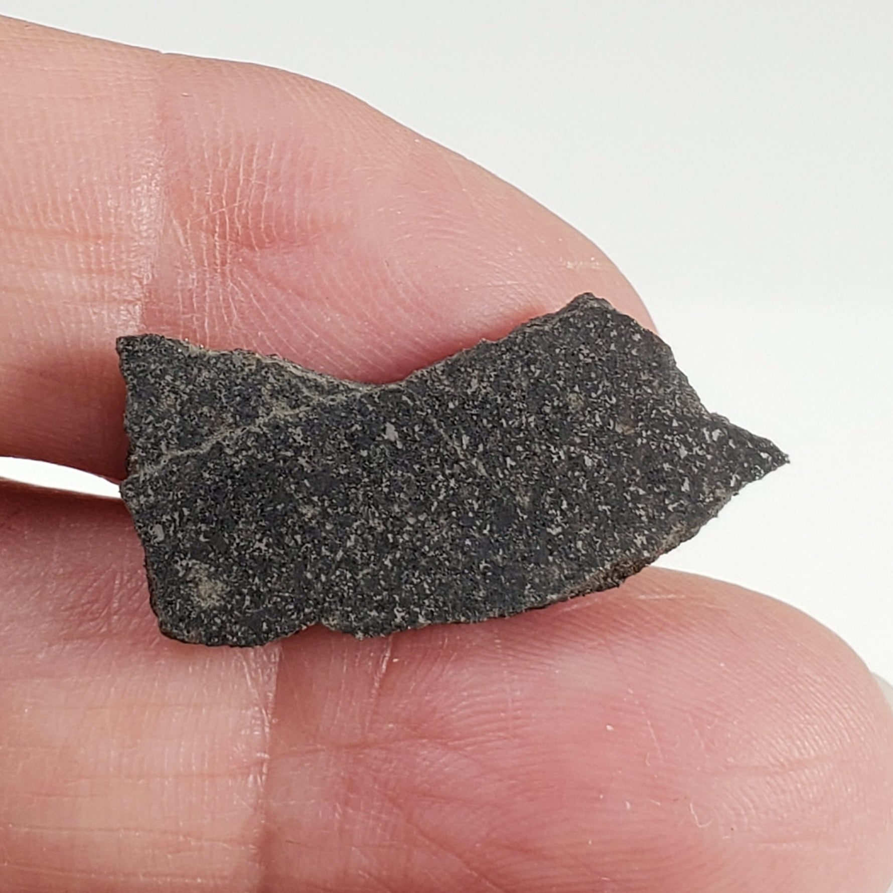  Spade Meteorite 2.1 Grams Part Slice H6 Chondrite Lamb County, Texas 