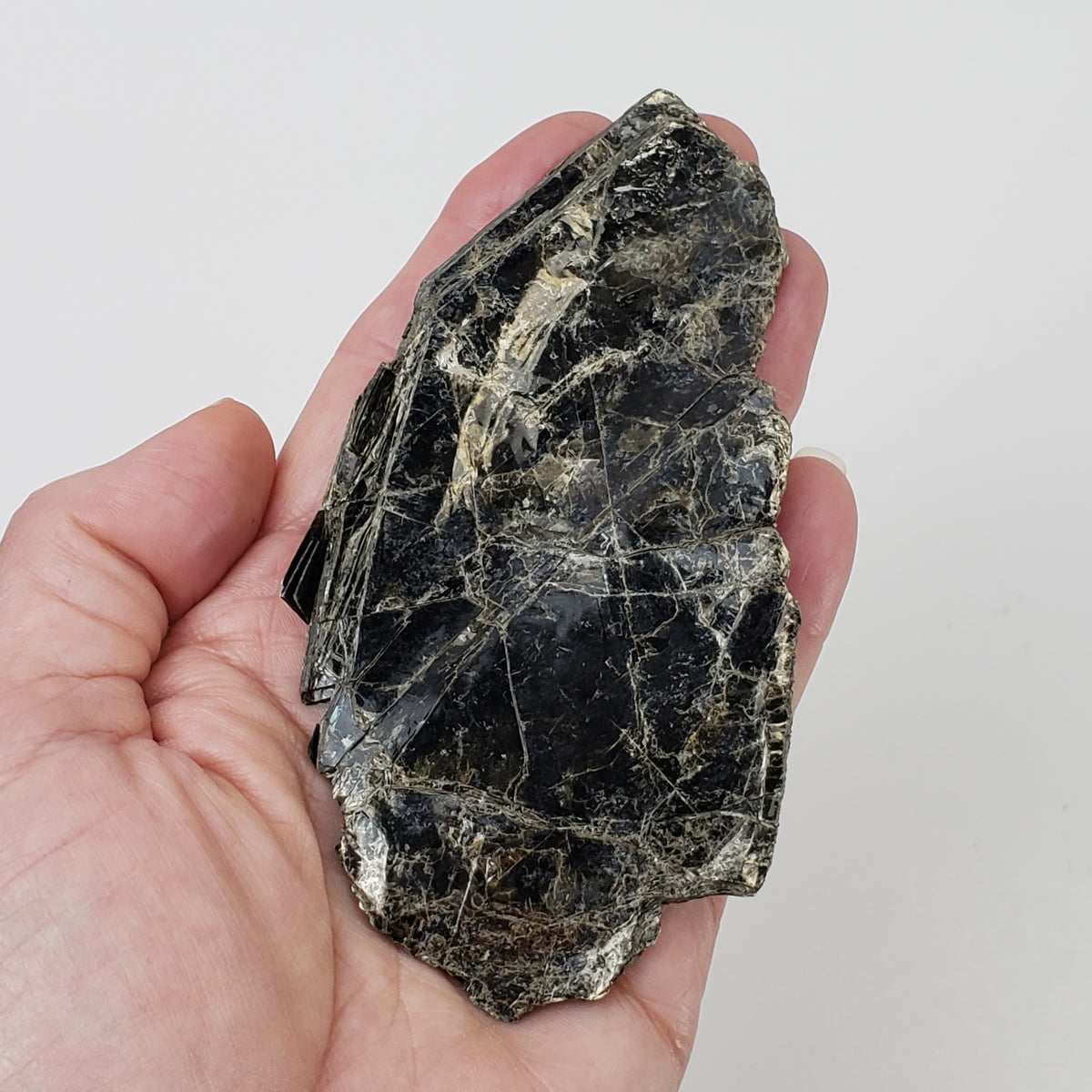  Biotite Mica Book 50 Grams from Ontario, Canada 