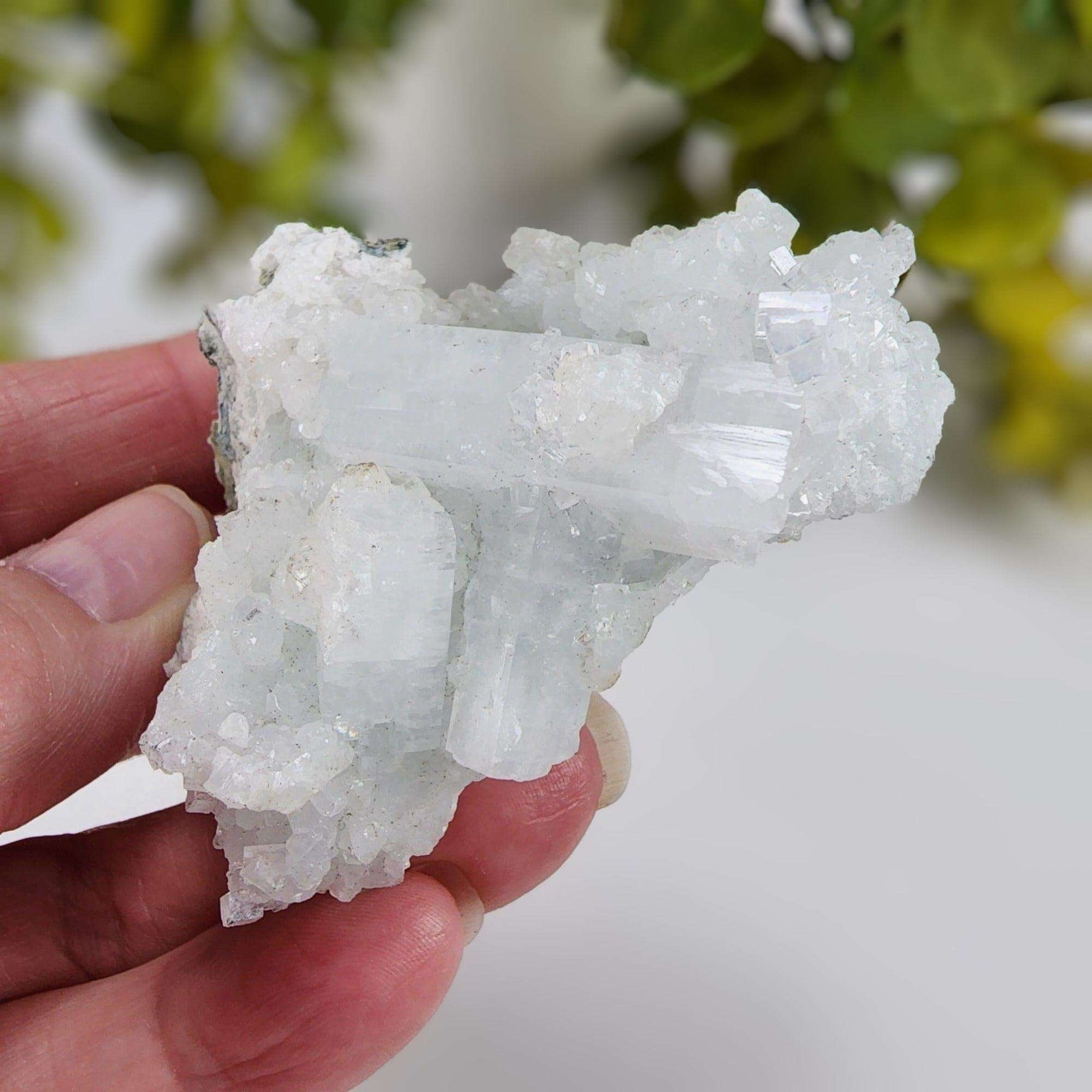  Apophyllite and Prehnite Cluster 86 grams from Mumbai, India 