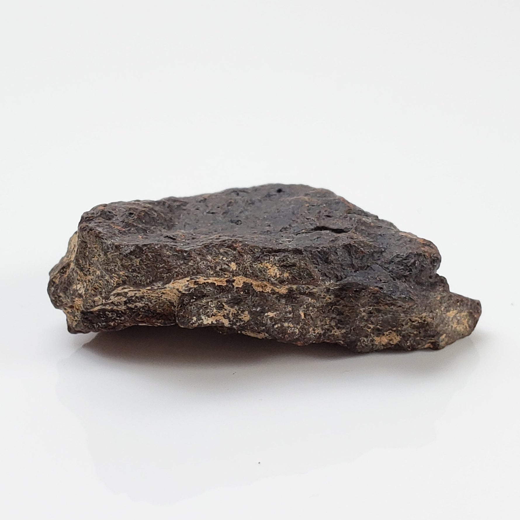  Dhofar 221 Meteorite 8.58 Grams Individual L5 Shocked Chondrite Sahara 