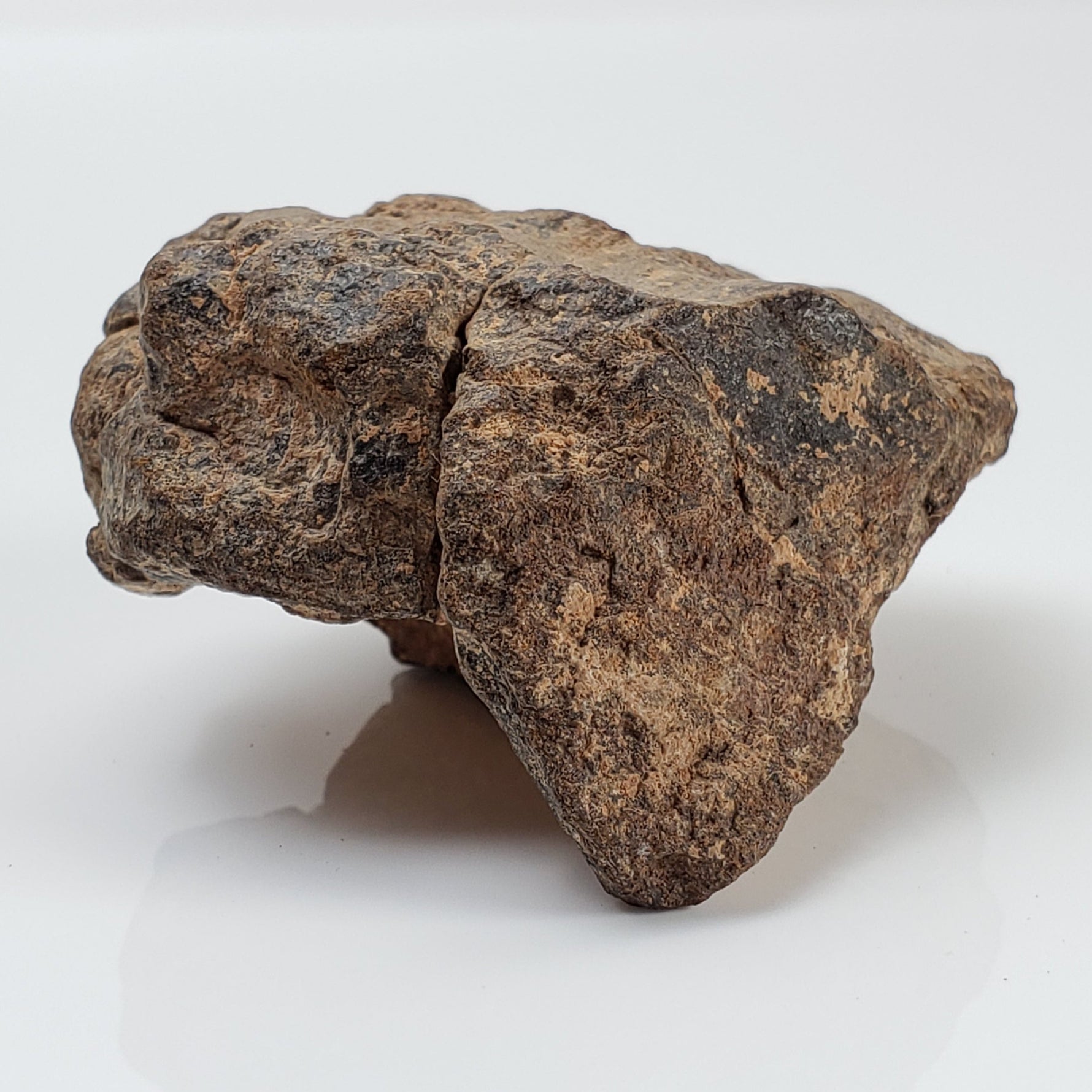 NWA 2965 Meteorite | 63.49 Grams | Individual | EL-Melt Rock | Fossil Paleomet