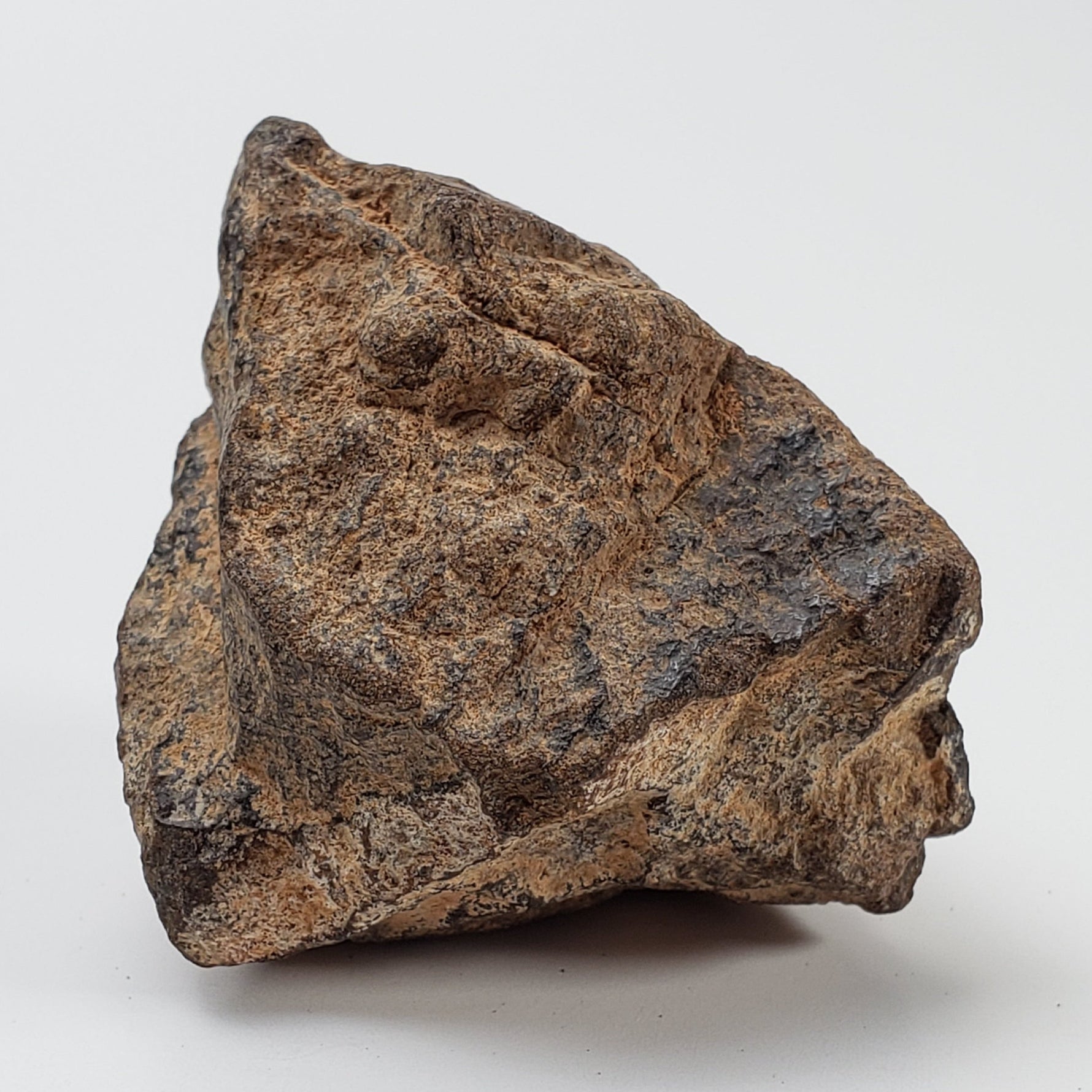 NWA 2965 Meteorite | 45.89 Grams | Individual | EL-Melt Rock | Fossil Paleomet