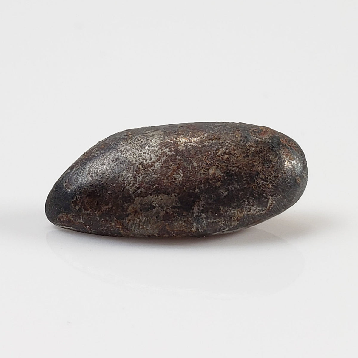  Taza Northwest Africa 859 Meteorite | 2.41 Gr | Oriented Bullet | Iron Ungrouped | Morocco 