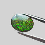 Ammolite Gem | Ammonite | Oval Cabochon | 10x8mm | Canada