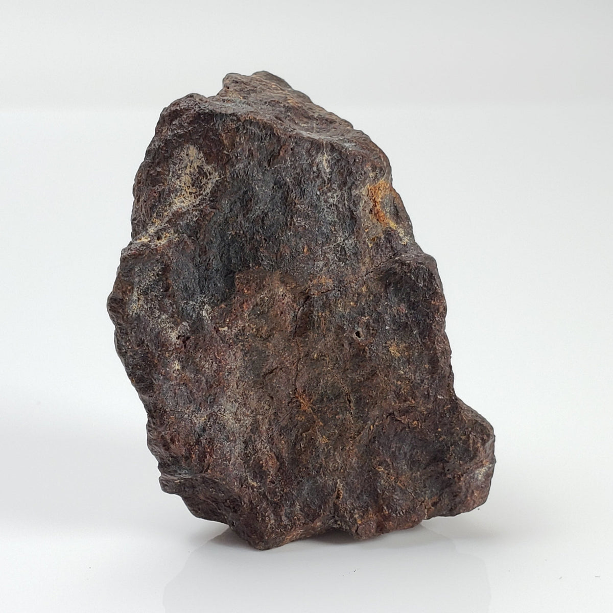 ChondriteDhofarDhofar 221MeteoritesCanagem.com