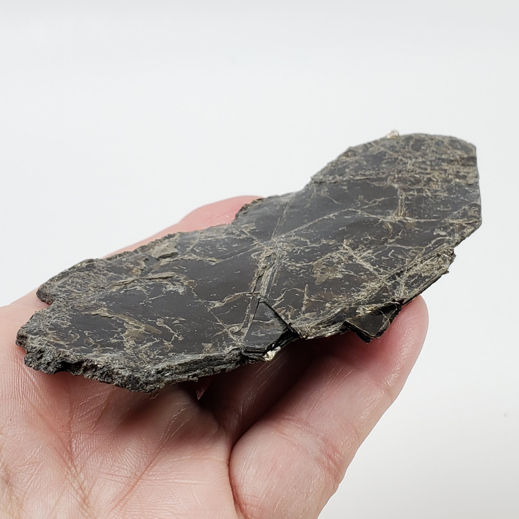  Biotite Mica Book 50 Grams from Ontario, Canada 