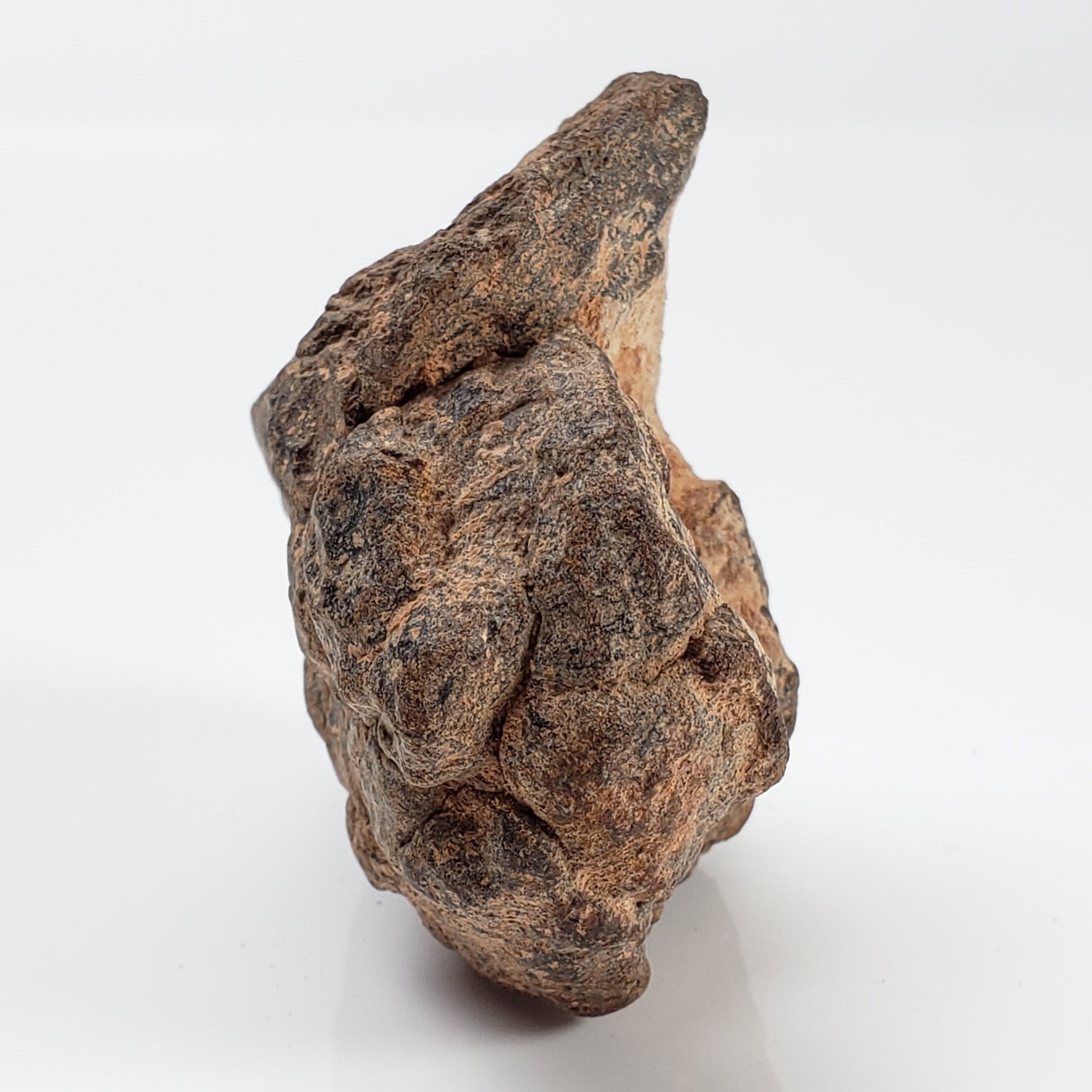 NWA 2965 Meteorite | 63.49 Grams | Individual | EL-Melt Rock | Fossil Paleomet