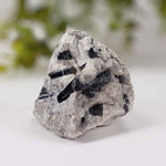  Natural Tourmaline on Quartz | Raw Schorl Crystal | 181.66 grams | Fitchburg, MA, USA 