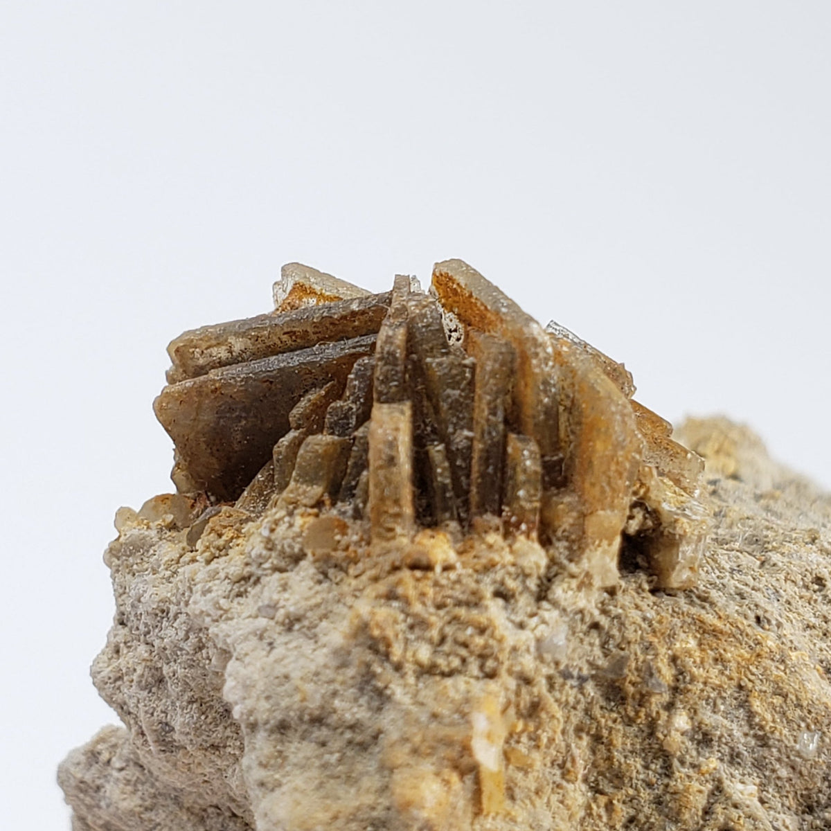 Barite Blades on Matrix | 37.4 gr | Campinas Grande, Pernambuco, Brazil