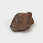   Taza NWA 859 Meteorite | 2.8 Gr | Iron Ungrouped | Morocco 