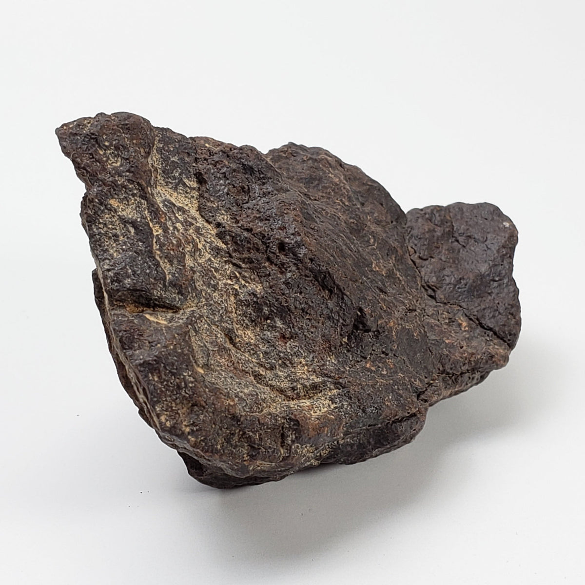  Dhofar 221 Meteorite 117 Grams L5 Shocked Chondrite  