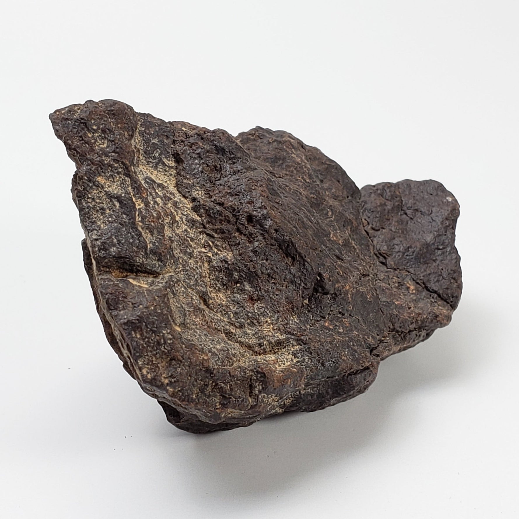 Dhofar 221 Meteorite | 117 Grams | Individual | L5 Shocked Chondrite | Sahara