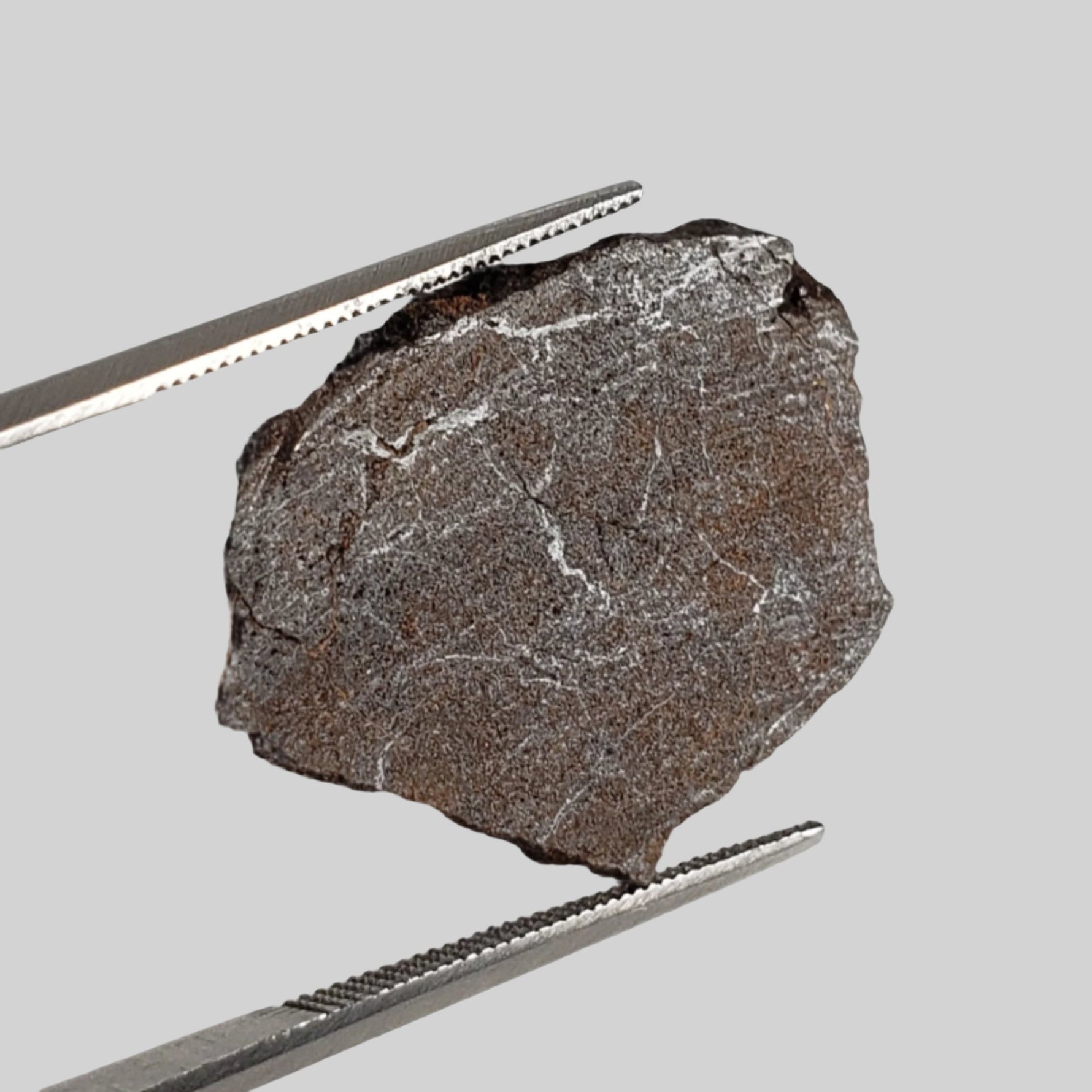 D - NWA 2965 Fossil Meteorite | 1.49 Grams | Slice | Rare  EL-Melt Rock | Paleomet