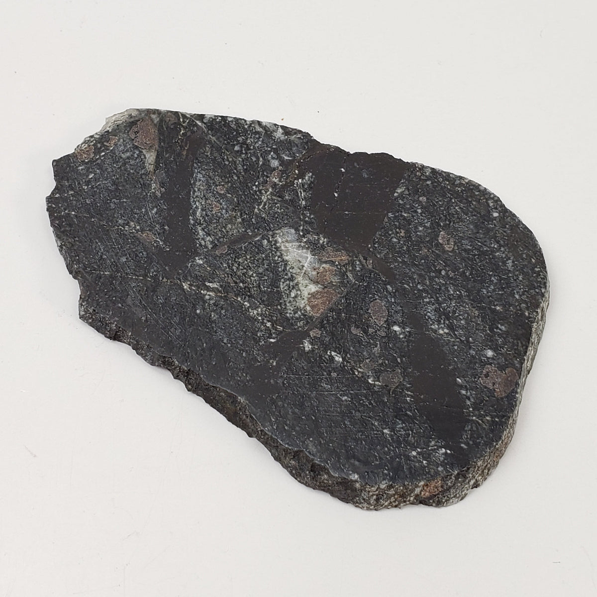   HT Tagamite Impact Melt Rock | 38.6 grams | Dellen Crater, Sweden 