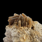  Barite Blades 37.4 gr from Campinas Grande, Pernambuco, Brazil 