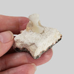   Stilbite Crystal on Matrix | 18 grams | India 