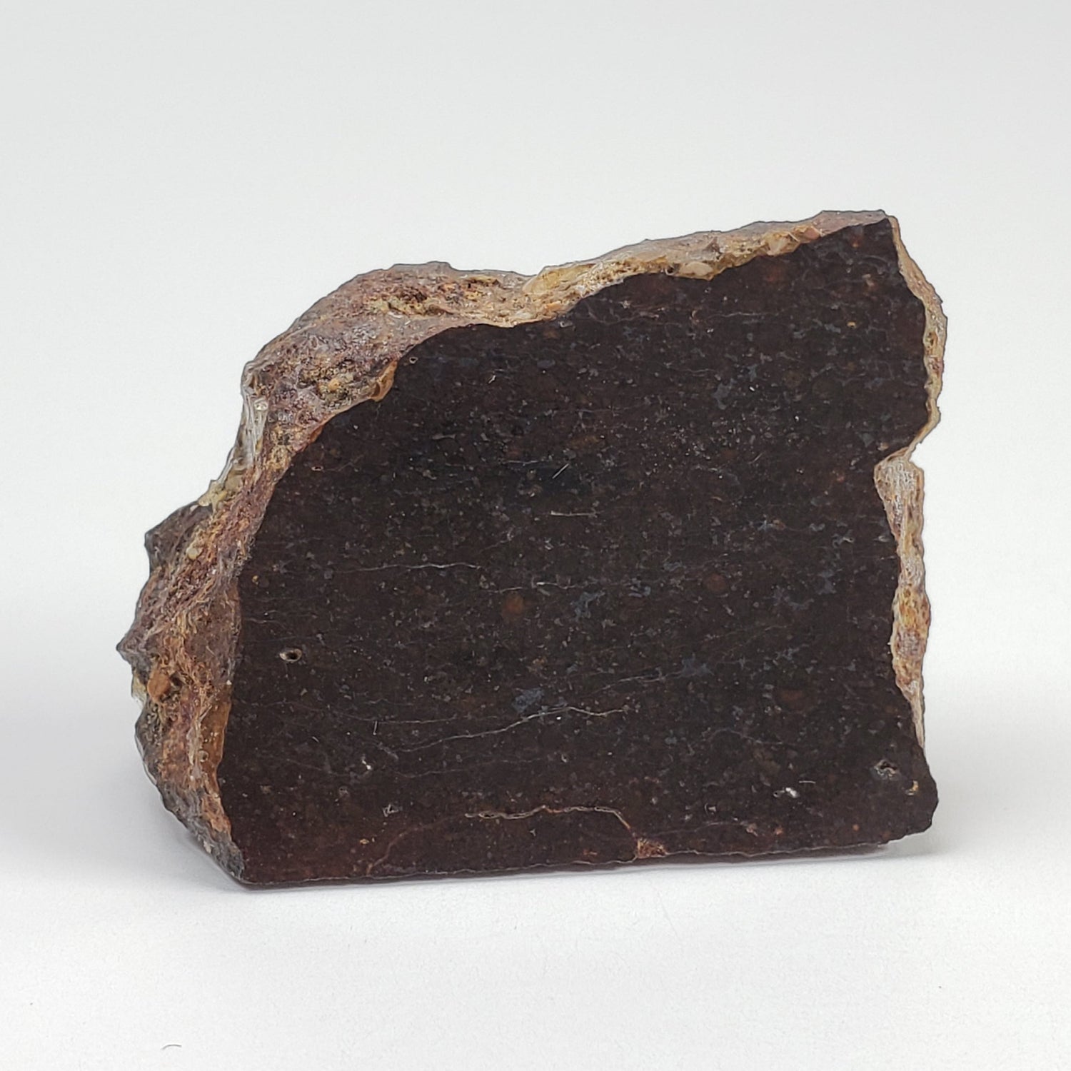 Dhofar 273 Meteorite | 29 Grams | Part End Cut | L5 Chondrite | Sahara