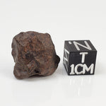   Meteorite-in-a-Box  Mini World Collection Trio | Nantan, NWA 4293 and Vaca Muerta 