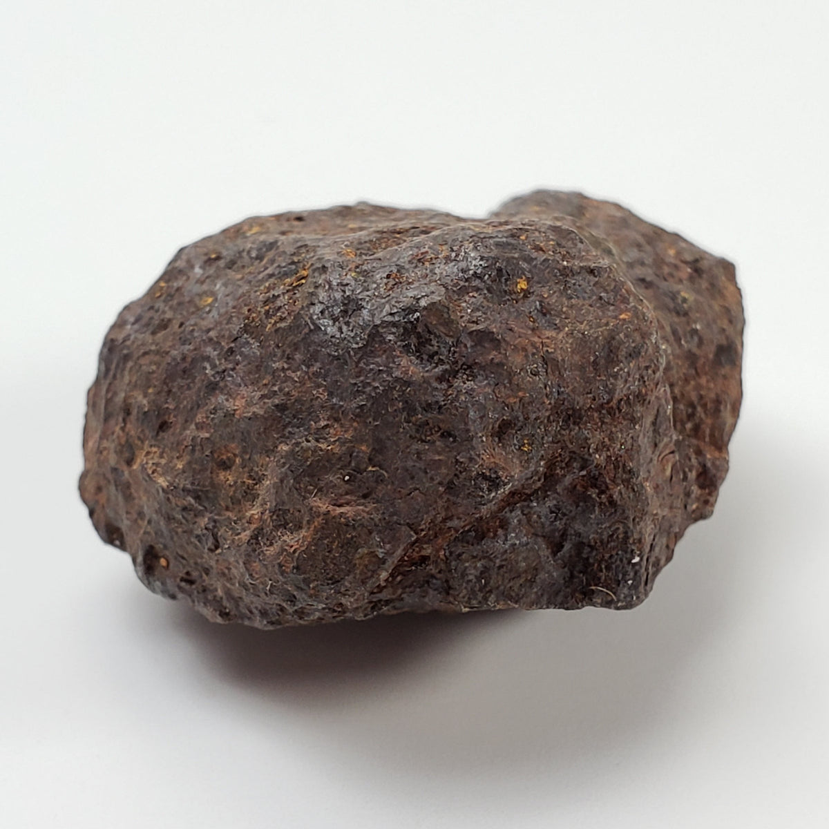 Vaca Muerta Meteorite | 40.52 Grams | Individual | Mesosiderite A1 | Chile