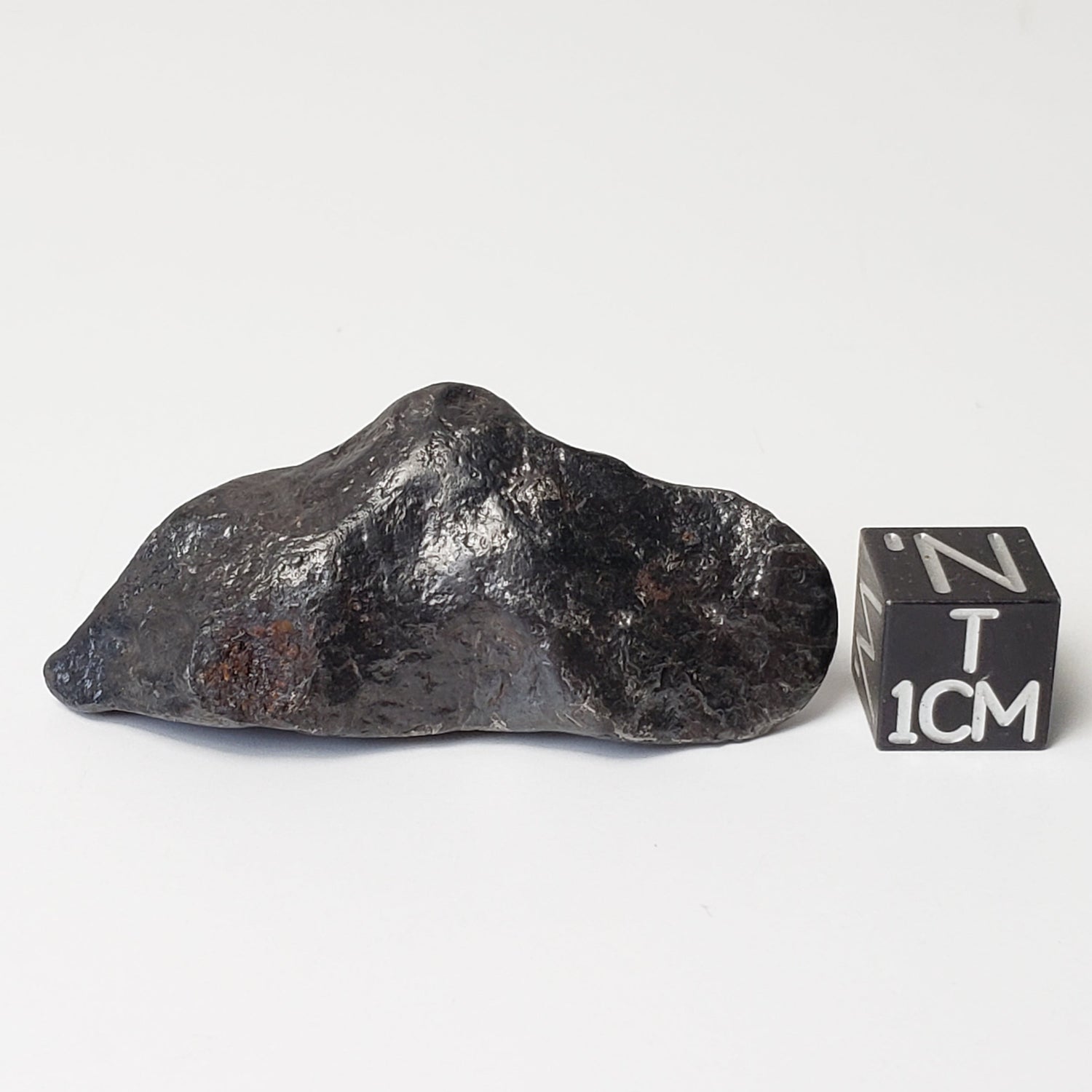 Météorite Canyon Diablo | 40,5 grammes | Individuel | Fer IAB-MG | Arizona États-Unis