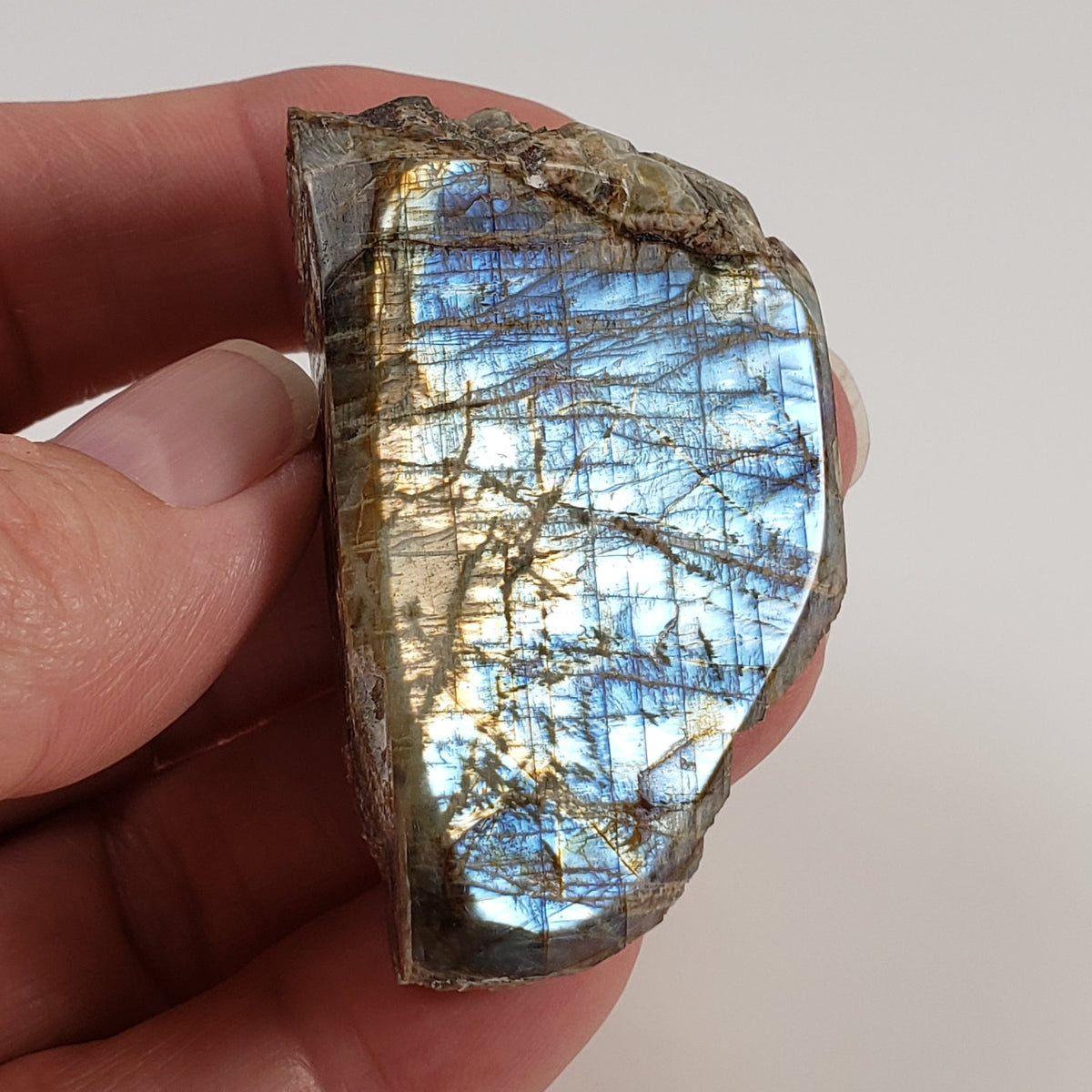  Canadian Labradorite | Polished Flat Stone | Natural Grey Rainbow | 39.6 | Quebec, Canada 