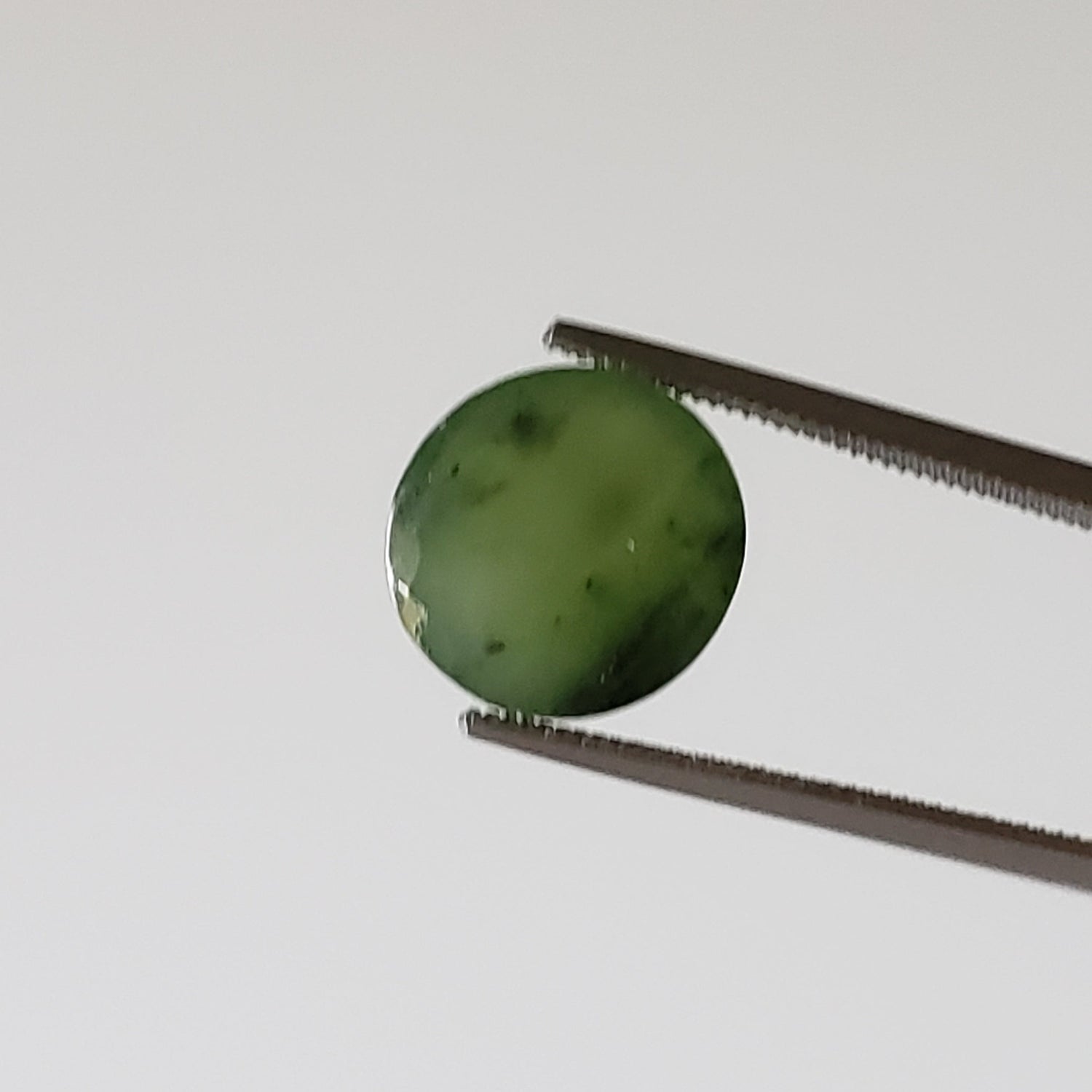 Néphrite | Cabochon rond | Vert | 10mm | Canada