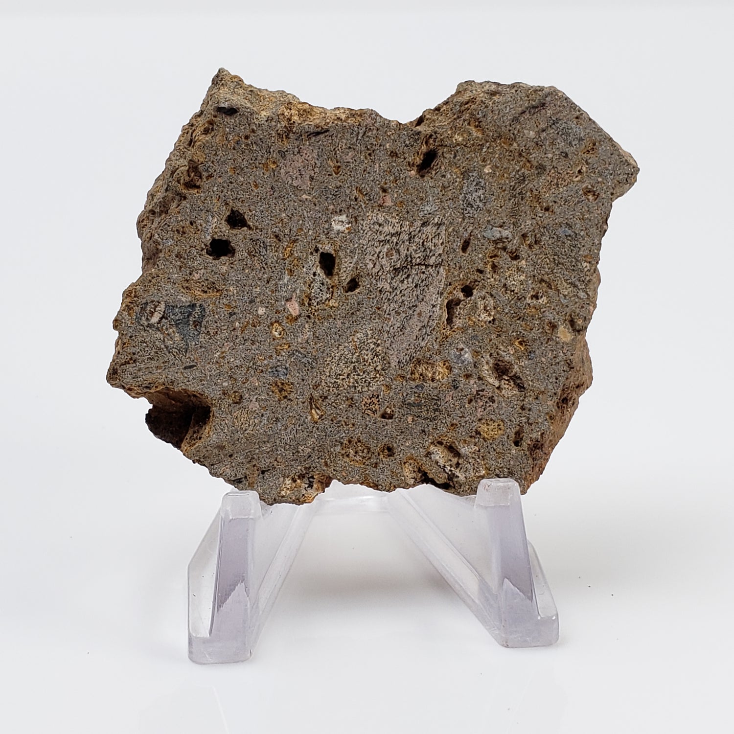  Impactite Breccia Suevite | 29.55 Grams | Chassenon, Rochechouart Structure, France 