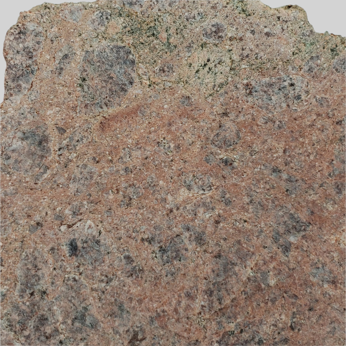 Impact Melt Rock | 40.7 grams | Dhala Impact Structure | 3rd Oldest Impact | India