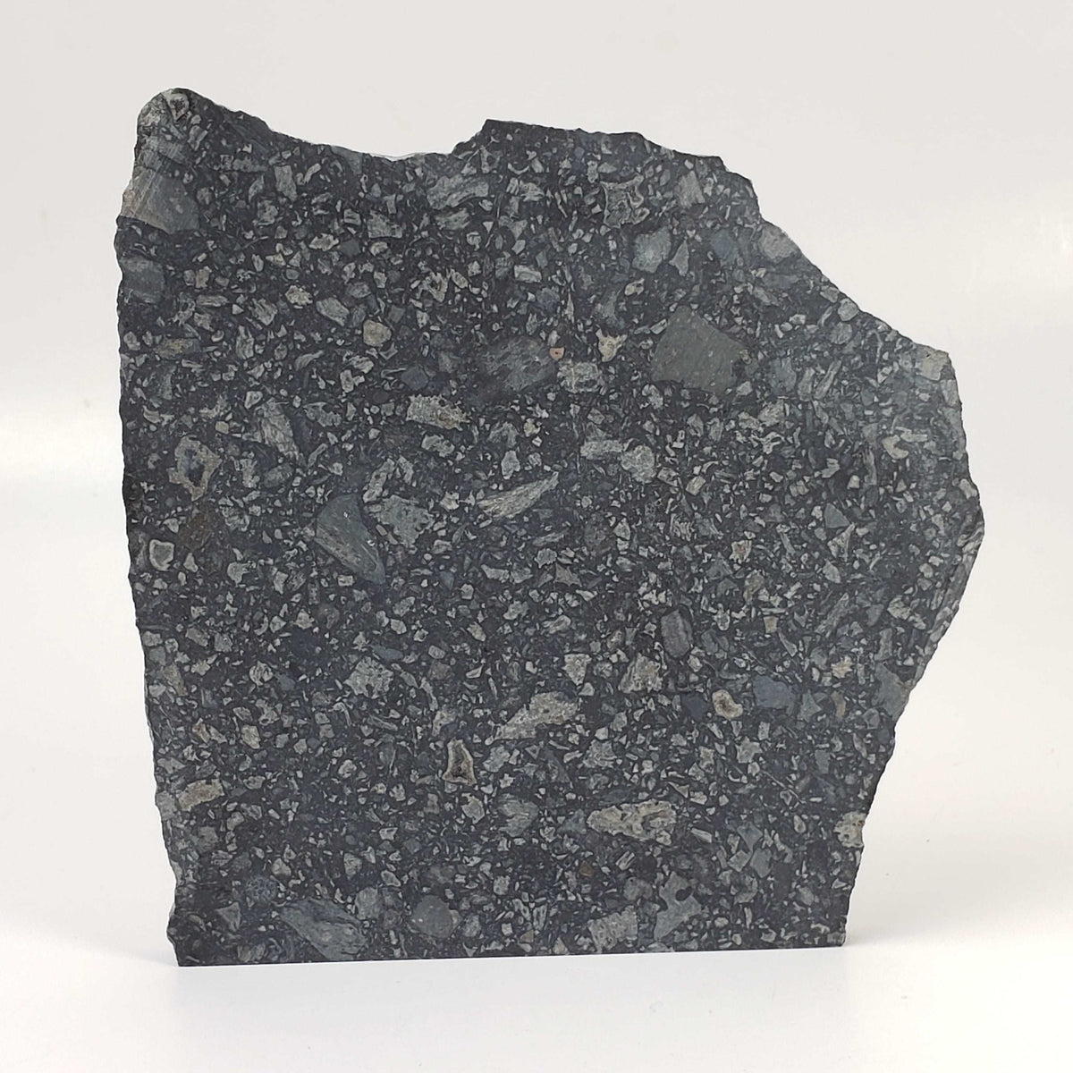 Black Onaping | 217 Grams | Impactite Breccia Slice | Sudbury Structure, Canada