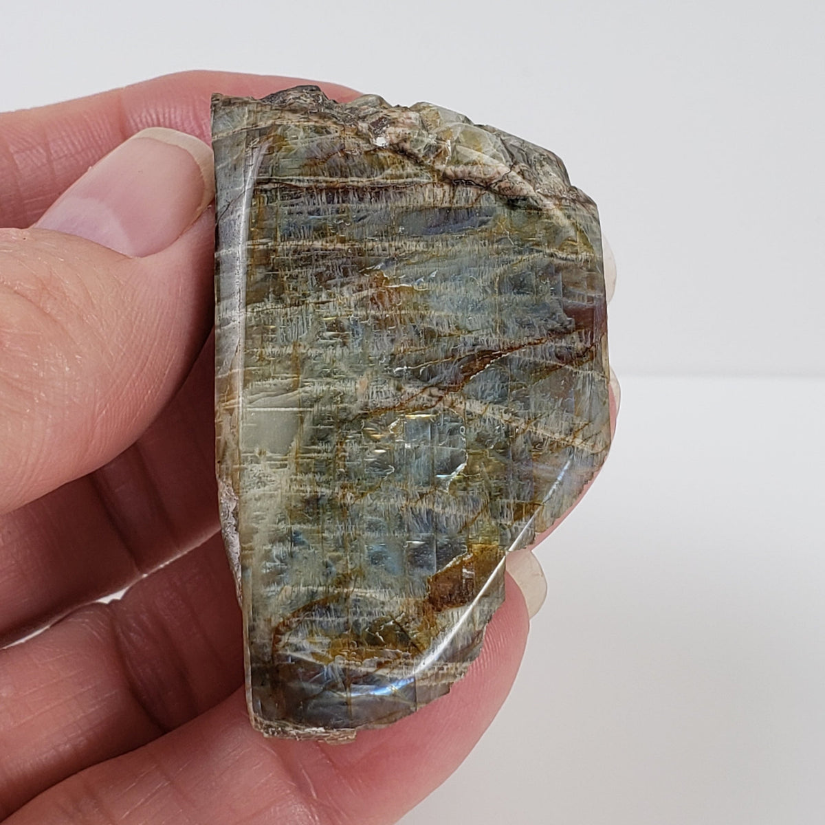  Canadian Labradorite | Polished Flat Stone | Natural Grey Rainbow | 39.6 | Quebec, Canada 