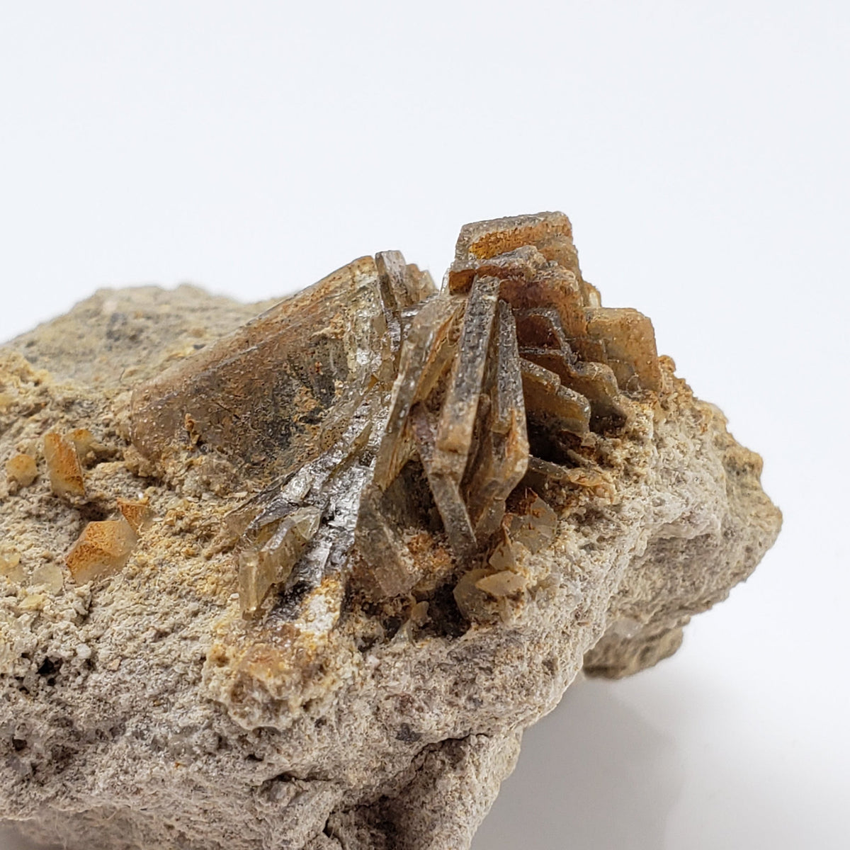 Barite Blades on Matrix | 37.4 gr | Campinas Grande, Pernambuco, Brazil