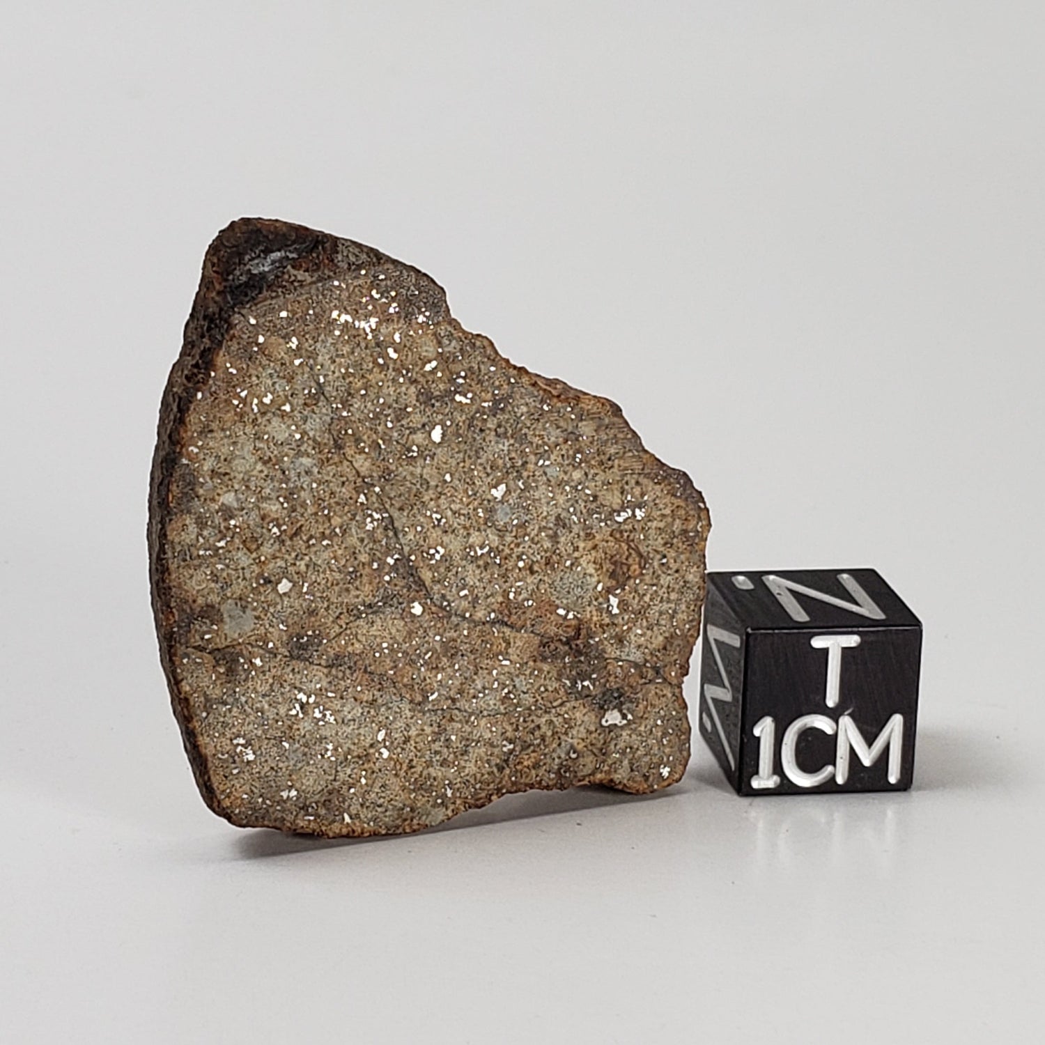 Northwest Africa NWA Meteorite | 10.56 Grams | Slice | Sahara